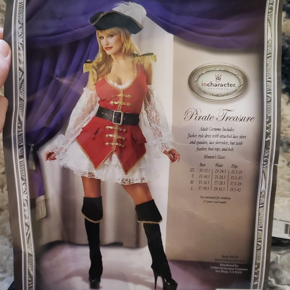 Sexy pirate costume